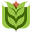 Memivo